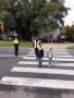 umundurowany w żółtą kamizelkę odblaskową strażnik miejski przeprowadza dwie dziewczynki przez przejście dla pieszych